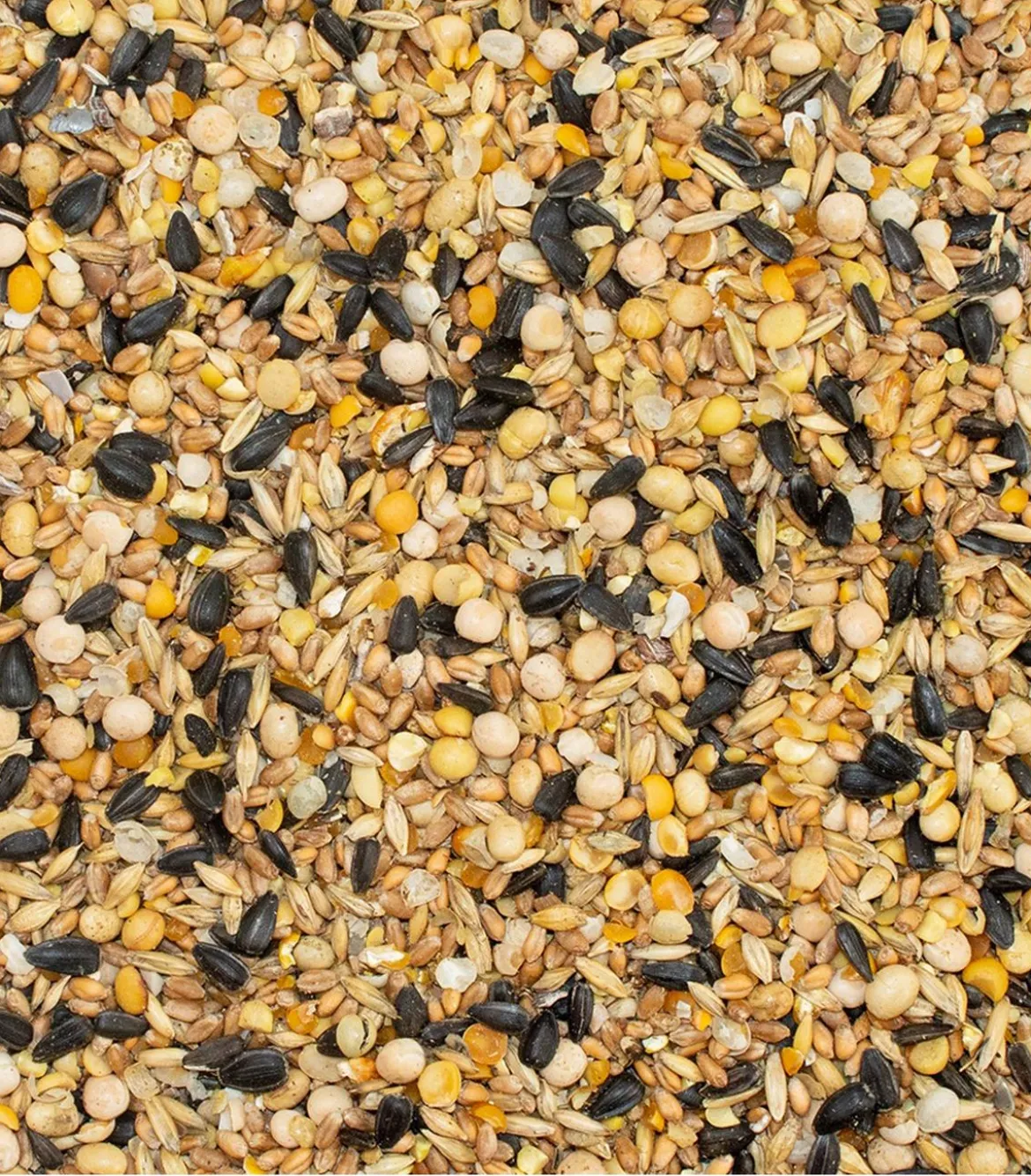 Dehner Best Nature Wachtelfutterergänzung Bio Wachtelkorn