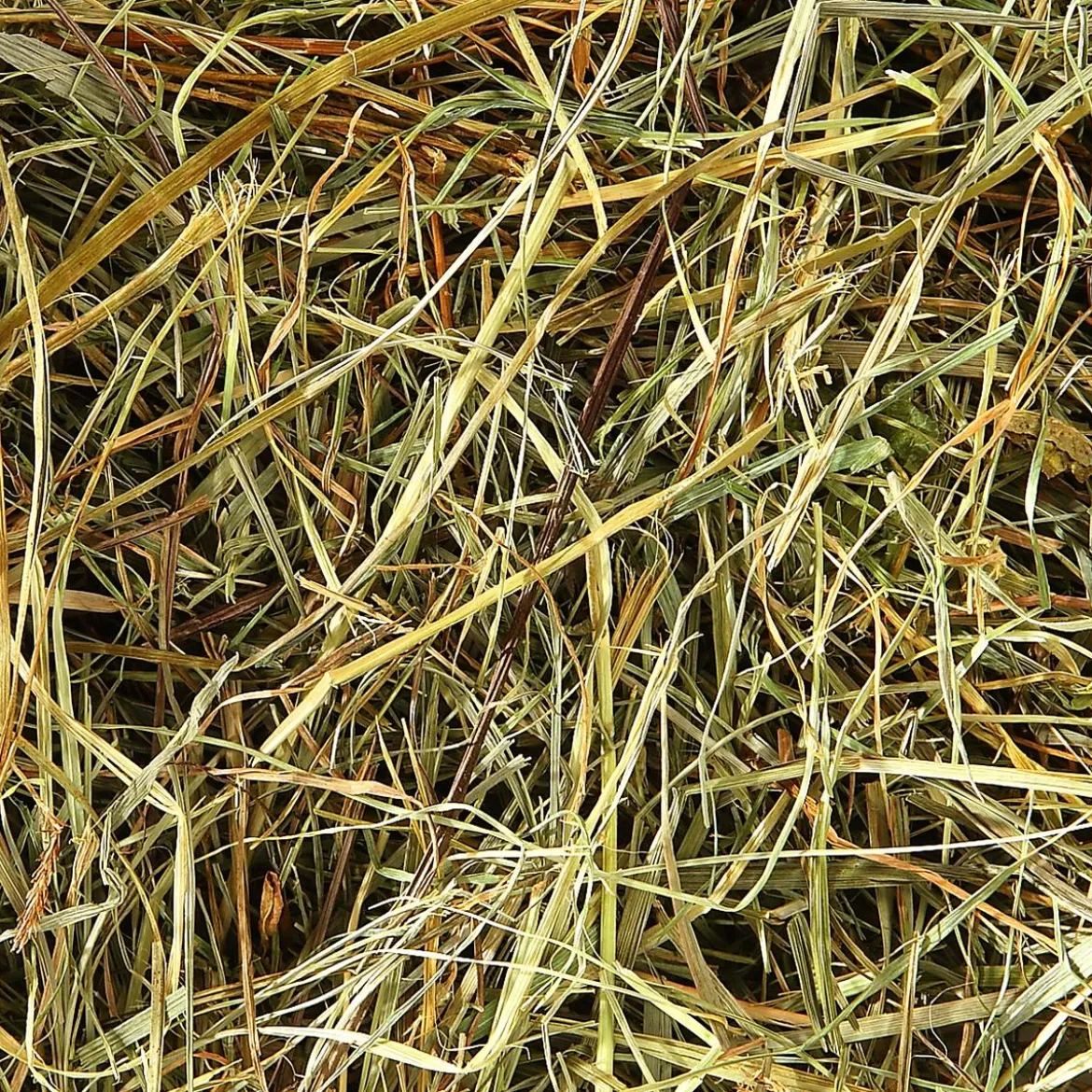 Dehner Bio Bergwiesenheu, 1,25 kg