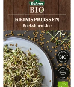 Dehner Bio-Keimsprossen 'Bockshornklee'
