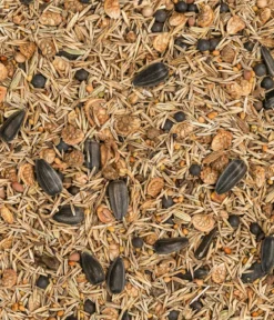 Dehner Bio Nützlingswiese, 250 g