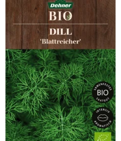 Dehner Bio-Saatgut Dill 'Blattreicher'