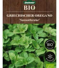 Dehner Bio Saatgut Griechischer Oregano 'Samothrake'