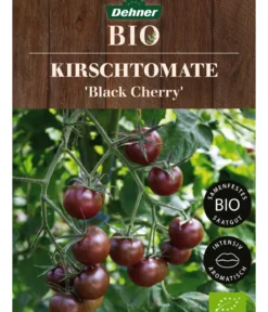 Dehner Bio-Saatgut Kirschtomate 'Black Cherry'