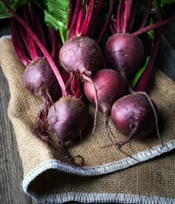 Dehner Bio-Saatgut Rote Bete 'Rote Kugel 2'