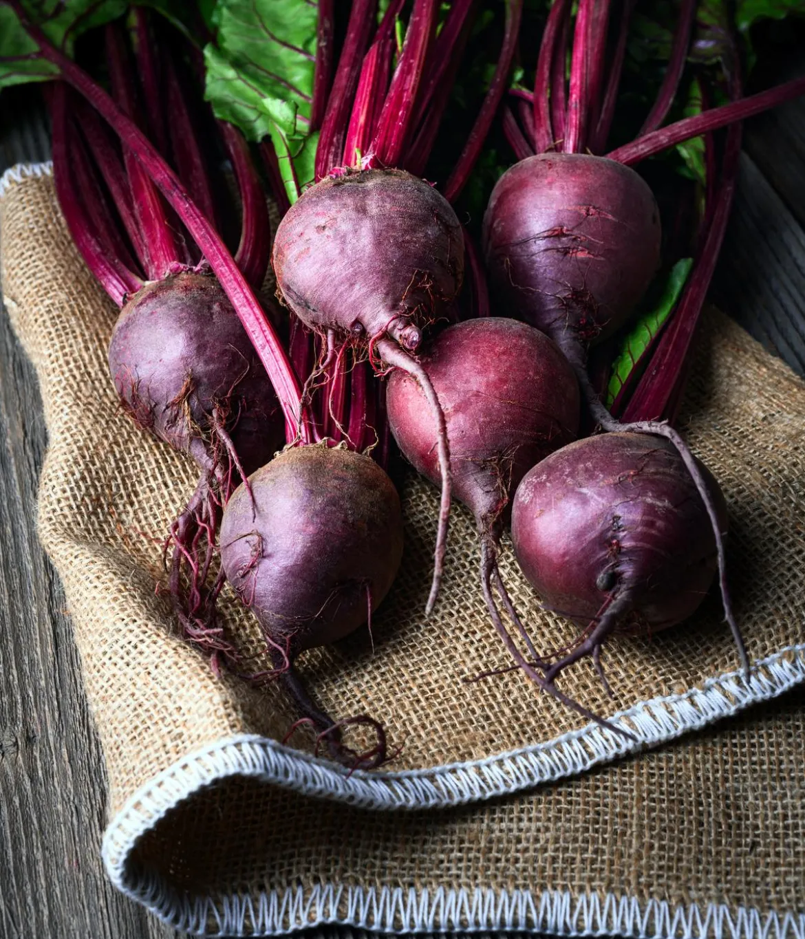 Dehner Bio-Saatgut Rote Bete 'Rote Kugel 2'