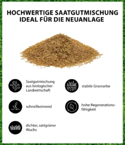 Dehner Bio Saatgut Spiel- und Sportrasen, 500 g