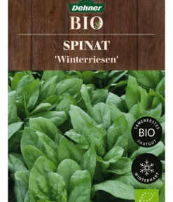 Dehner Bio-Saatgut Spinat 'Winterriesen'