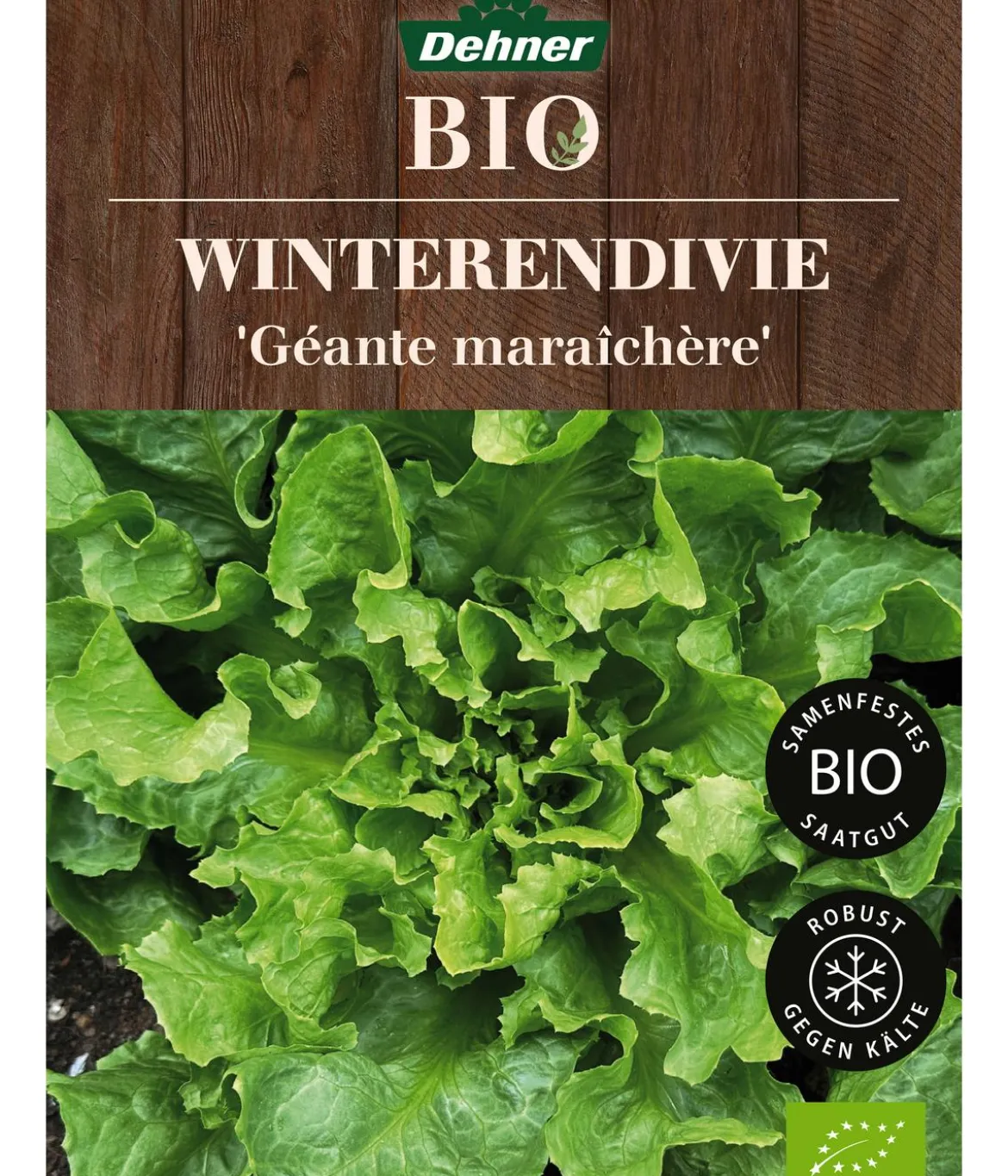 Dehner Bio-Saatgut Winterendivie 'Géante maraîchère'