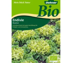 Dehner Bio-Samen Endivien 'Nuance'