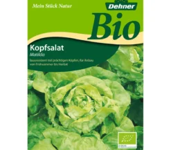 Dehner Bio Samen Kopfsalat 'Matilda'