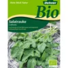Dehner Bio-Samen Salatrauke 'Coltivata'