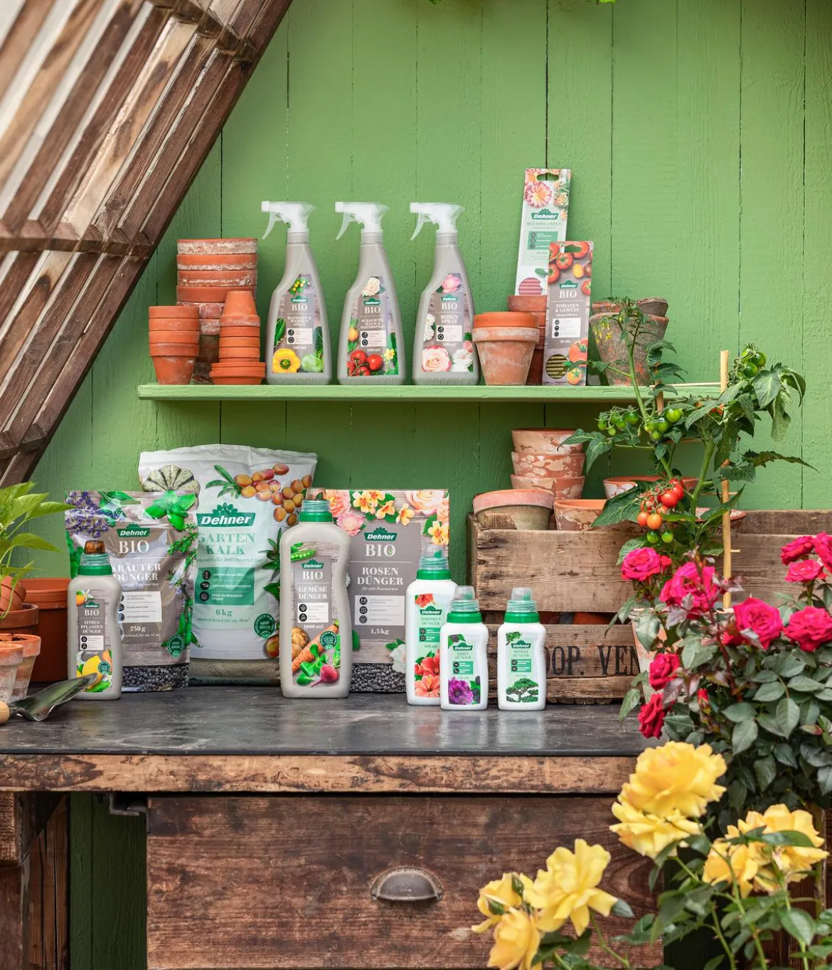 Dehner Bio Schachtelhalm- & Haferspray, 500 ml