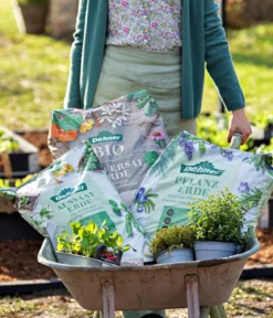 Dehner Bio Universal-Erde, 40 l