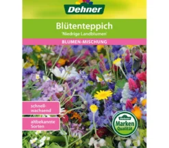 Dehner Blütenteppich 'Niedrige Landblumen'