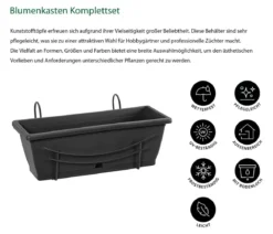 Dehner Blumenkasten-Komplettset inkl. Bewässerung und Untersetzer, ca. B 50/H19/T17 cm