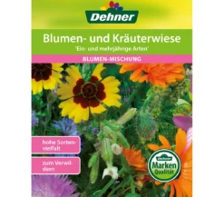 Dehner Blumen- und Kräuterwiese 'Ein- und mehrjährige Arten'