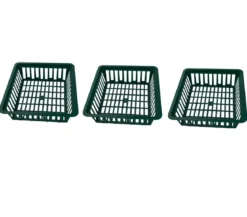 Dehner Blumenzwiebelschalen
