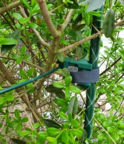 Dehner Fiberglas-Pflanzenstab