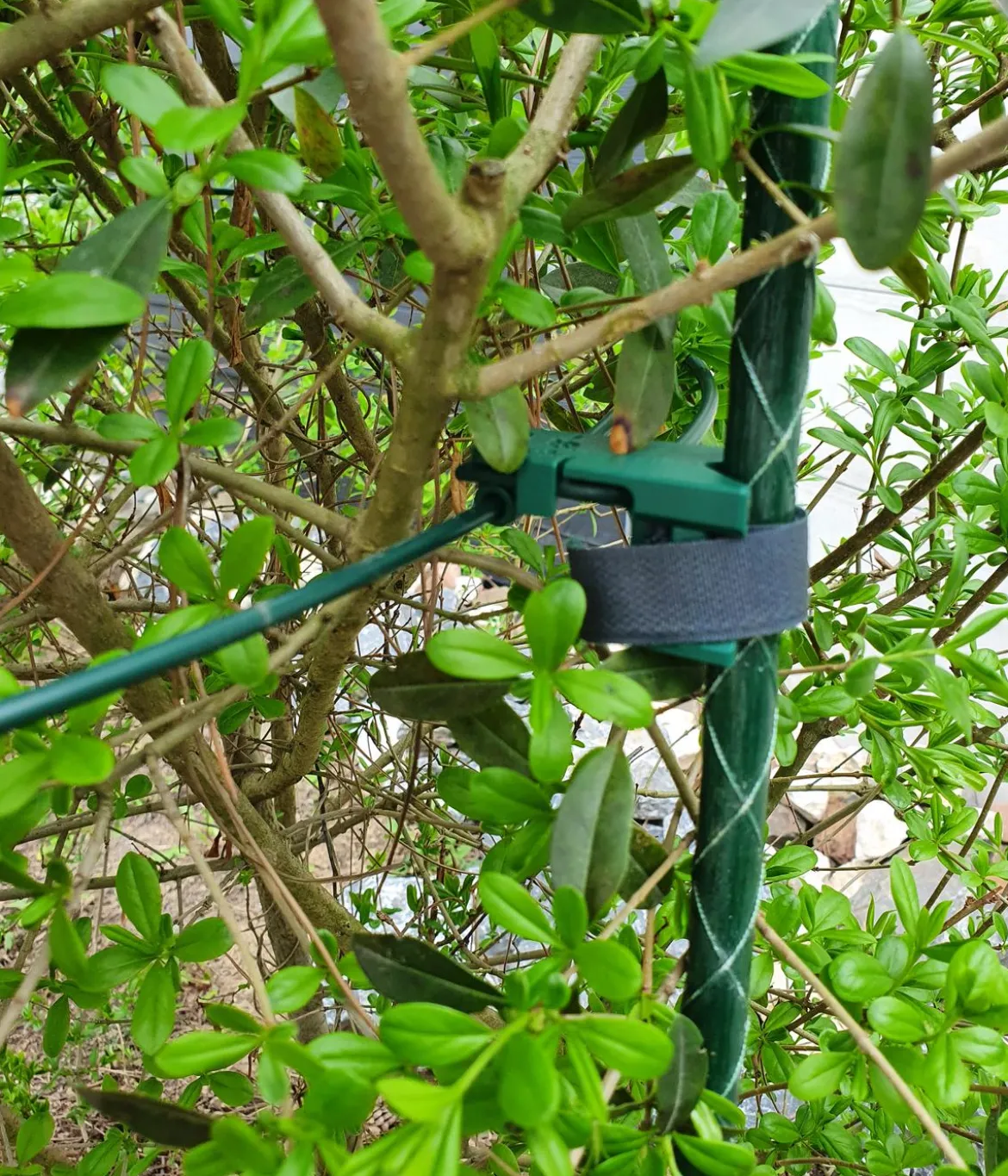 Dehner Fiberglas-Pflanzenstab