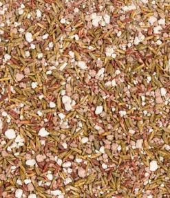 Dehner Frühjahrsrasen-Nachsaat, 750 g