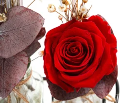 Dehner Glas-Arrangement mit Longlife-Rose Duo Valentin, rot, ca. B16/H40/T10 cm