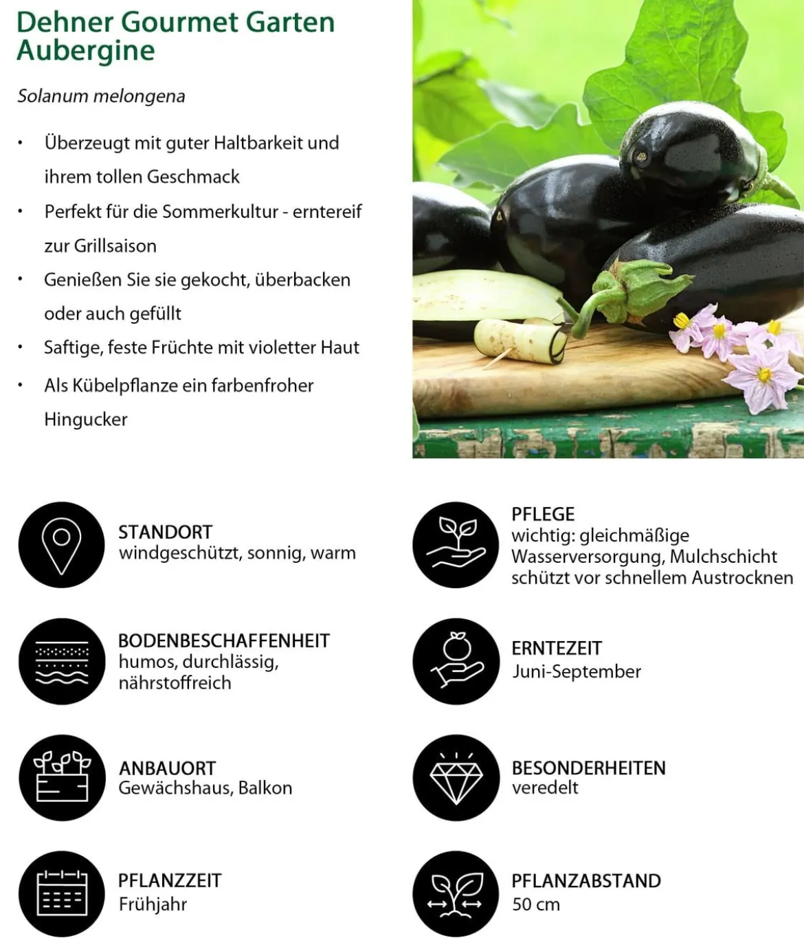 Dehner Gourmet Garten Aubergine, veredelt