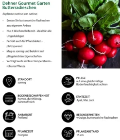 Dehner Gourmet Garten Butterradieschen, 20er Schale