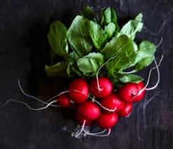 Dehner Gourmet Garten Butterradieschen, 20er Schale
