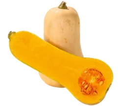 Dehner Gourmet Garten Butternut-Kürbis