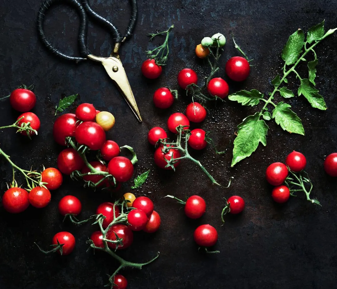Dehner Gourmet Garten Cherrytomate, veredelt
