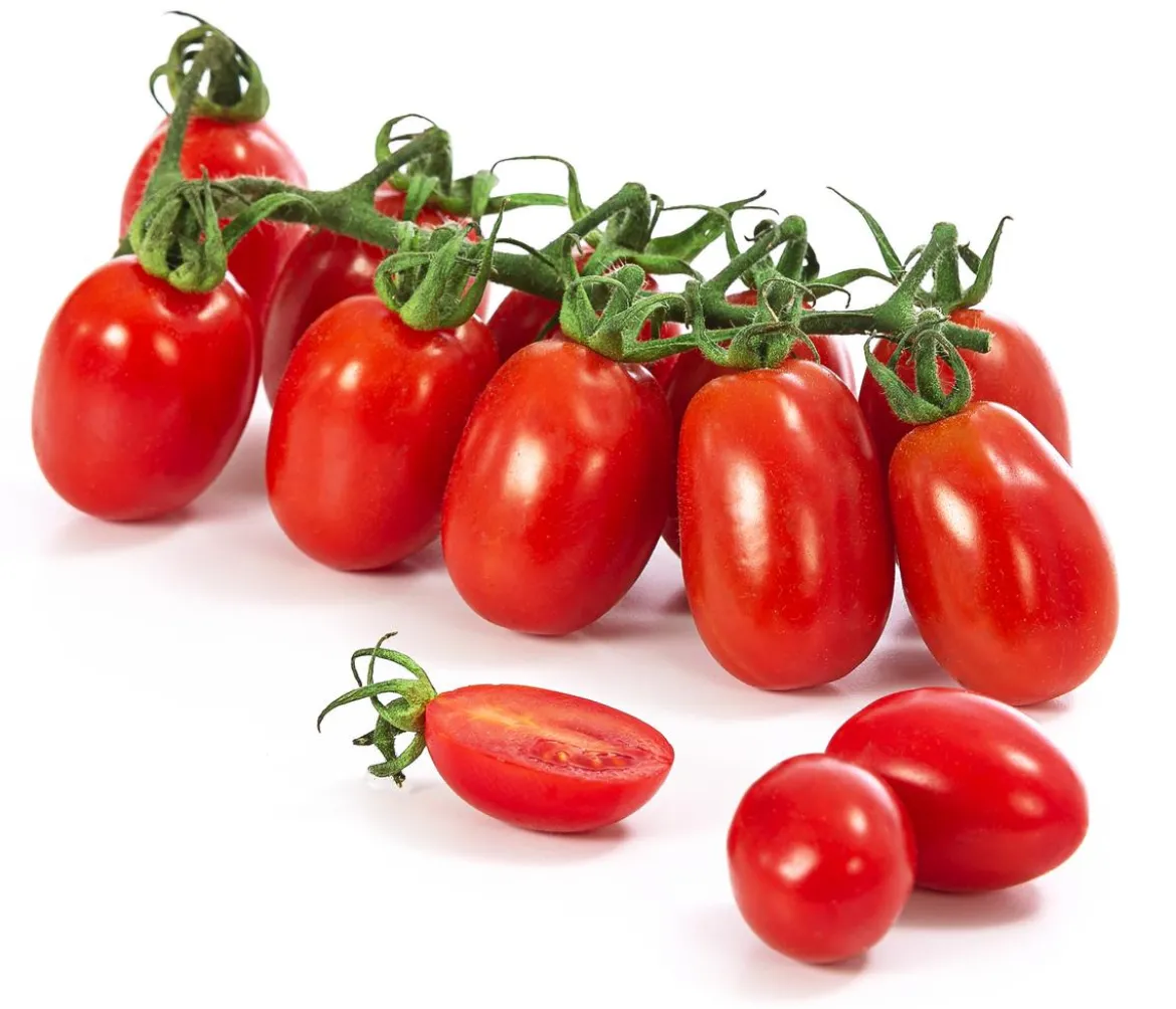 Dehner Gourmet Garten Datteltomate, veredelt