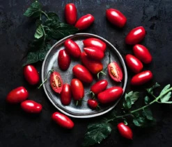 Dehner Gourmet Garten Datteltomate, veredelt