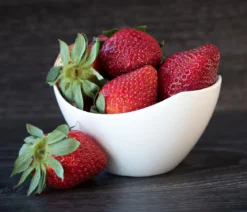 Dehner Gourmet Garten Erdbeere 'Mara des Bois'