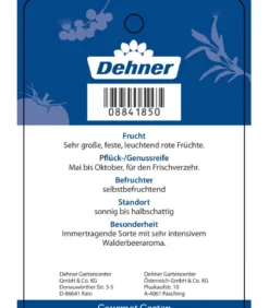 Dehner Gourmet Garten Erdbeere 'Mara des bois'