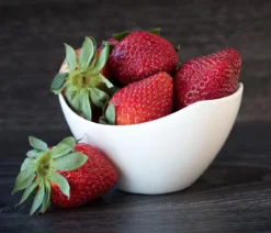 Dehner Gourmet Garten Erdbeere 'Mara des bois'