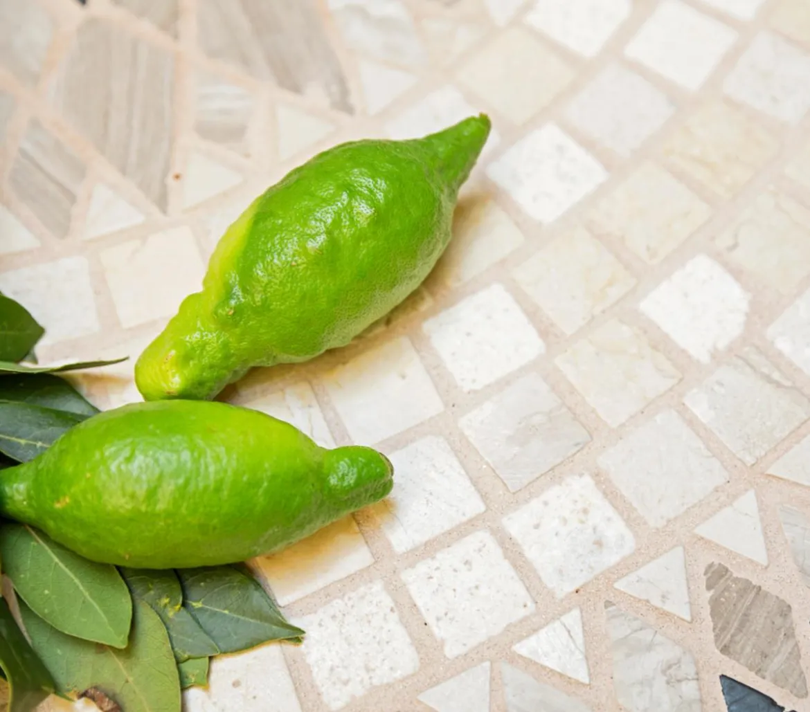 Dehner Gourmet Garten Fingerlimette