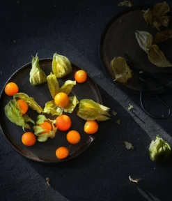 Dehner Gourmet Garten Goldandenbeere