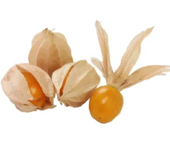 Dehner Gourmet Garten Goldandenbeere