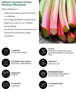 Dehner Gourmet Garten Himbeer-Rhabarber
