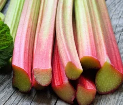 Dehner Gourmet Garten Himbeer-Rhabarber