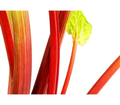 Dehner Gourmet Garten Himbeer-Rhabarber
