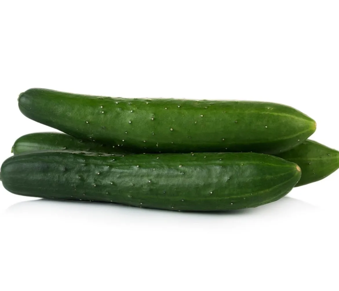 Dehner Gourmet Garten Landgurke, veredelt