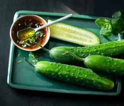 Dehner Gourmet Garten Landgurke, veredelt