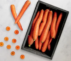 Dehner Gourmet Garten Lange Möhre, 20er Schale