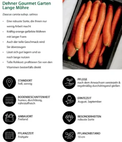 Dehner Gourmet Garten Lange Möhre, 20er Schale