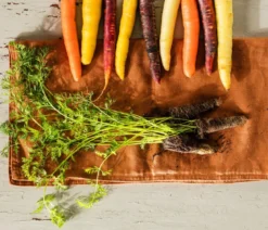 Dehner Gourmet Garten Lange Möhre, 20er Schale