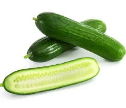 Dehner Gourmet Garten Mini Schlangengurke, veredelt