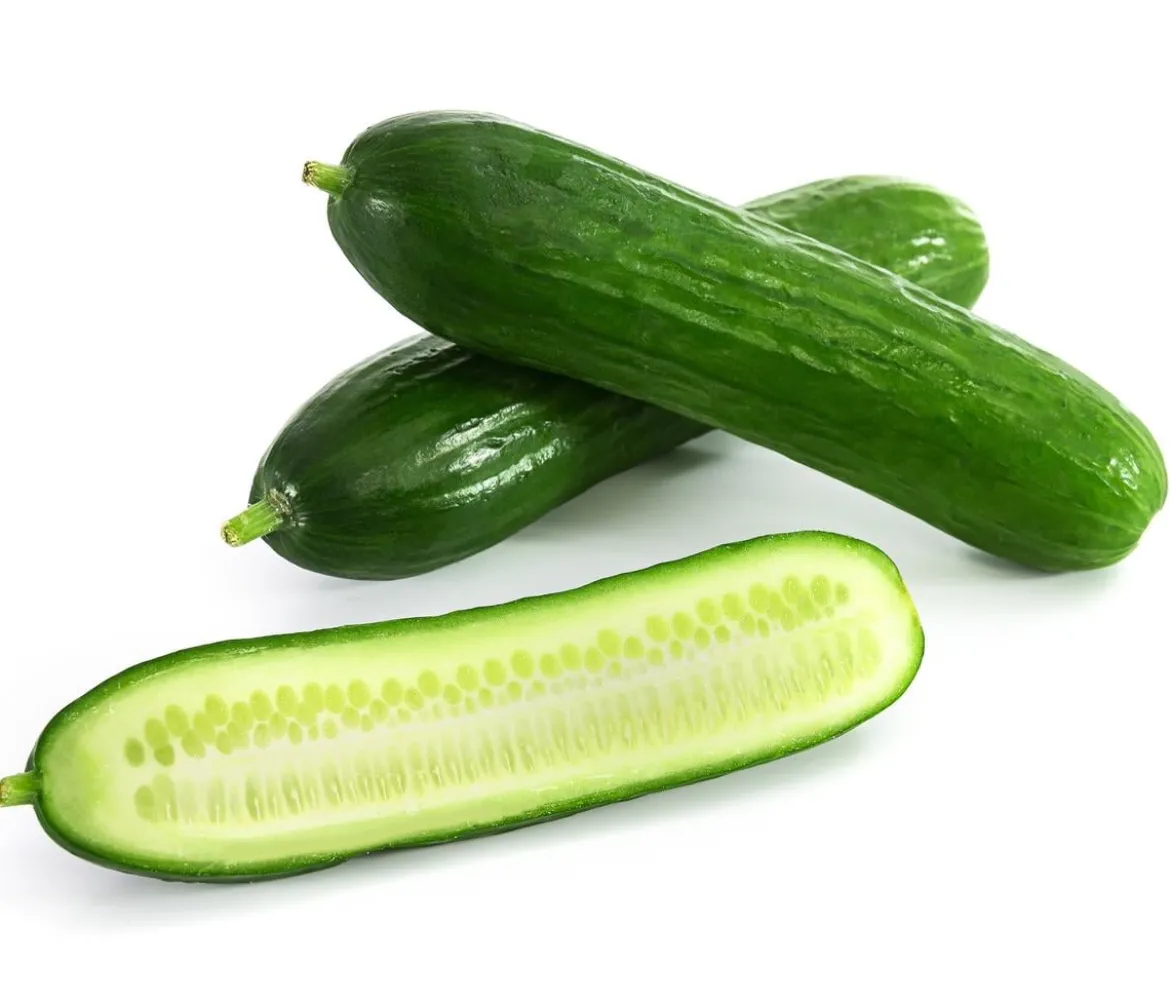 Dehner Gourmet Garten Mini Schlangengurke, veredelt