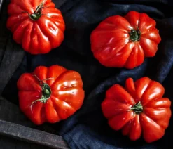 Dehner Gourmet Garten Ochsenherztomate, veredelt