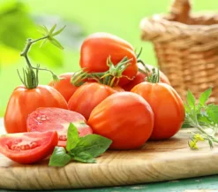 Dehner Gourmet Garten Ochsenherztomate, veredelt